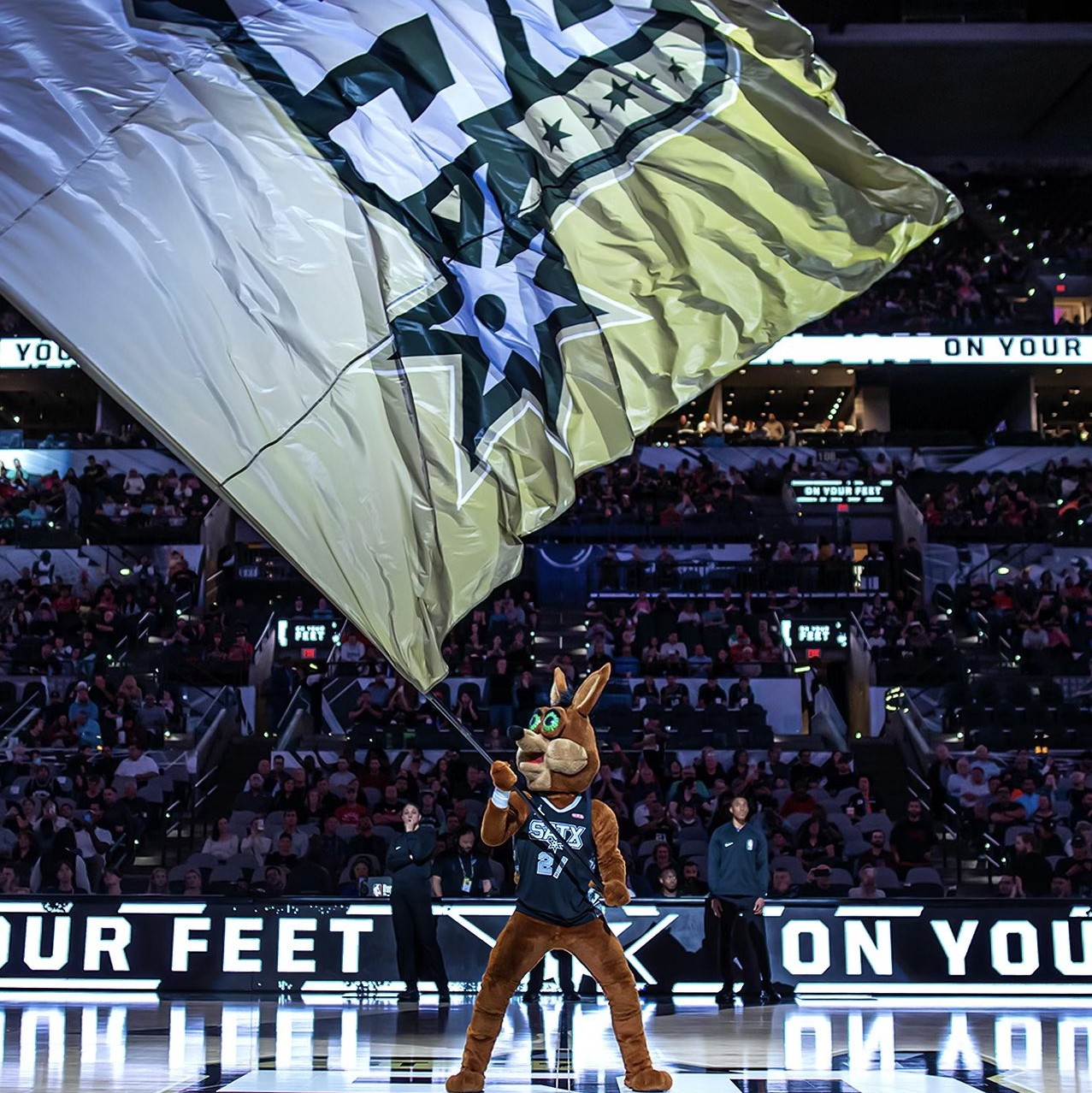 注的外援球 注的外援球